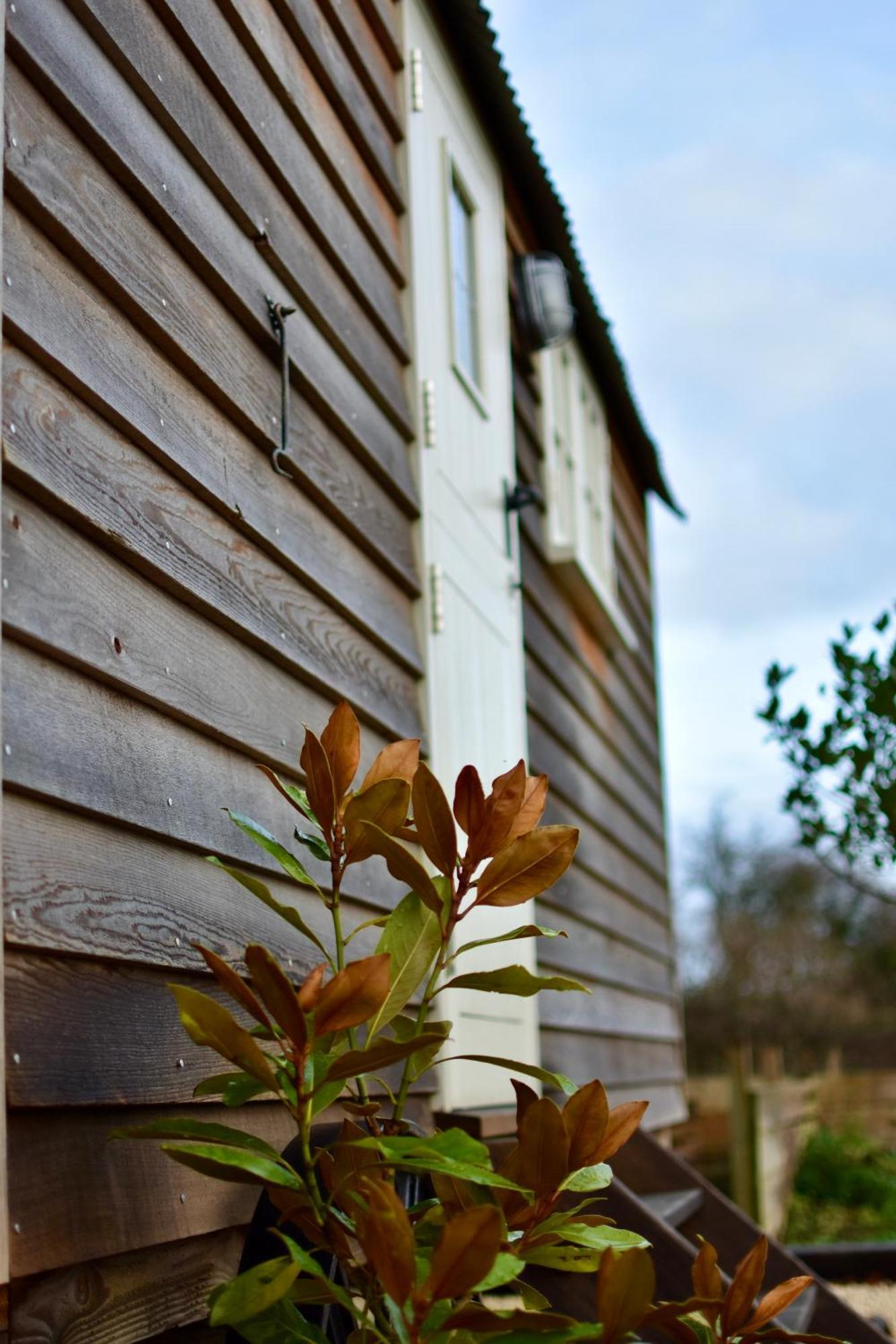Apartamento The Deer Hut Burpham Exterior foto